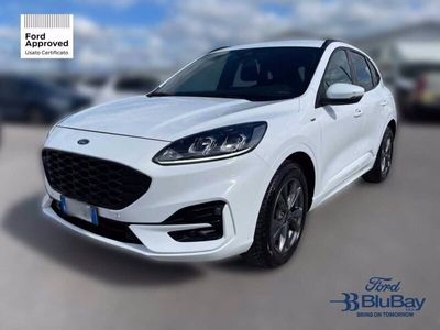 usata Ford Kuga 1.5 EcoBoost 150 CV 2WD ST-Line usato