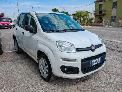 Usata Fiat Panda Easy 84 CV (61 kW) 2020 Bianco Utilitaria