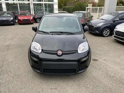 usata Fiat Panda Panda1.0 firefly hybrid neopatentati