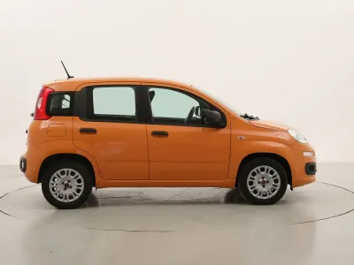Usata Fiat Panda Easy 69 CV (50 kW) 2020 Arancionearancione Utilitaria