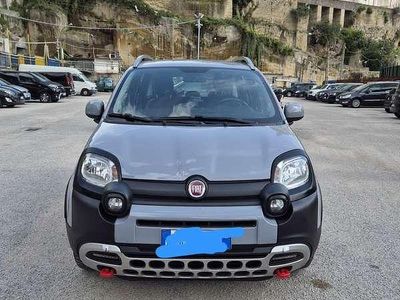 Usata Fiat Panda Cross Cross 69 CV (50 kW) 2019 Utilitaria