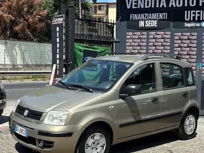 Usata Fiat Panda Dynamic 60 CV (44 kW) 2009 Verde Utilitaria