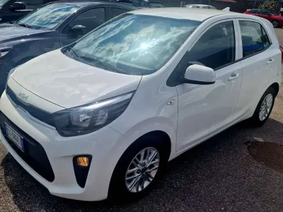 Usata Kia Picanto Urban 67 CV (49 kW) 2024 Bianchissima Utilitaria