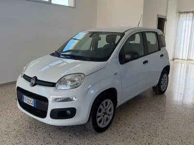 Usata Fiat Panda Easy 71 CV (52 kW) 2019 Bianco Utilitaria