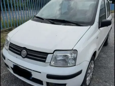 Usata Fiat Panda Dynamic 60 CV (44 kW) 2009 Bianco Utilitaria