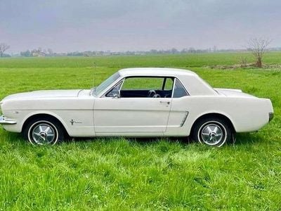 Usata Ford Mustang 165 CV (121 kW) 1964 Bianco Coupé