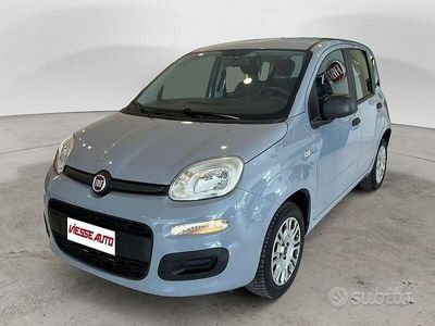 Usata Fiat Panda Easy 69 CV (50 kW) 2018 Grigio Utilitaria