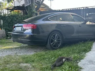 Usata Audi A5 Sportback Advanced 170 CV (125 kW) 2010 Utilitaria