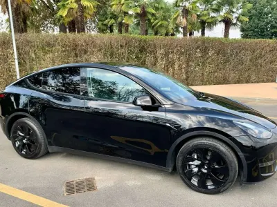 Usata Tesla Model Y