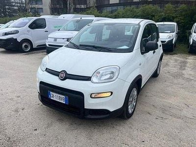 Usata Fiat Panda S 69 CV (50 kW) 2023 Bianco Utilitaria