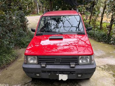 usata Fiat Panda 4x4 1100 i.e. cat 4x4 Trekking