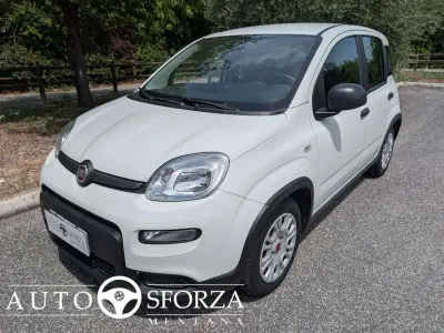Usata Fiat Panda 69 CV (50 kW) 2023 Bianco Utilitaria