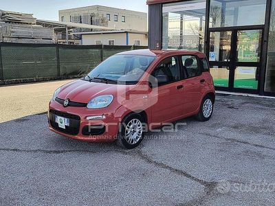 Usata Fiat Panda S 2021 Rosso Utilitaria