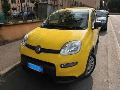 Usata Fiat Panda S 69 CV (50 kW) 2024 Giallo Utilitaria