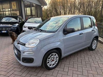 Usata Fiat Panda Easy 69 CV (50 kW) 2019 Grigio Utilitaria