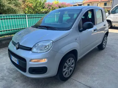 Usata Fiat Panda Lounge 84 CV (61 kW) 2015 Grigio Utilitaria