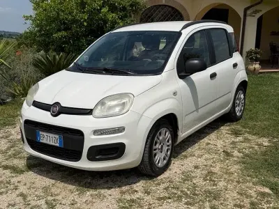 Usata Fiat Panda Lounge 75 CV (55 kW) 2014 Bianco Utilitaria