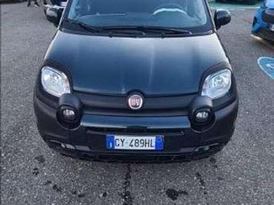 Usata Fiat Panda Icon 70 CV (51 kW) 2025 Verde Berlina