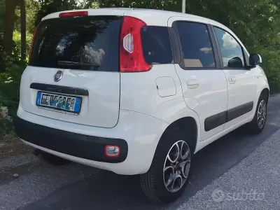 Usata Fiat Panda 4x4 Pop 75 CV (55 kW) 2014 Bianco Utilitaria