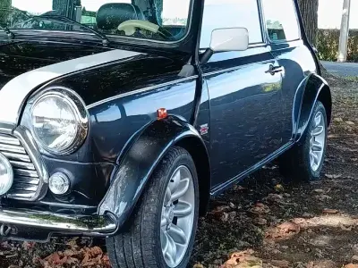Usata Rover Mini 1998