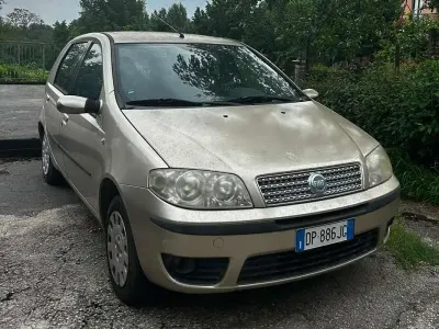 Usata Fiat Punto Dynamic 60 CV (44 kW) 2008 Oro Utilitaria