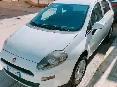 Usata Fiat Punto 77 CV (56 kW) 2013 Bianco Utilitaria
