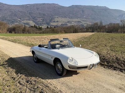 Usata Alfa Romeo Spider 110 CV (80 kW) 1966 Bianco Cabrio