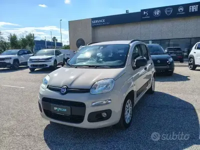 Usata Fiat Panda Easy 69 CV (50 kW) 2017 Grigio Utilitaria