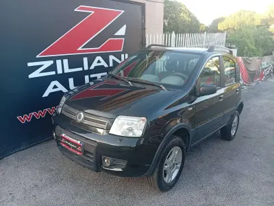 Usata Fiat Panda 4x4