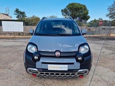 Usata Fiat Panda Cross Cross 69 CV (50 kW) 2019 Grigio Utilitaria