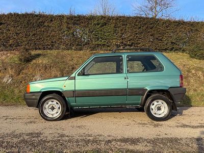 Usata Fiat Panda 4x4 Trekking 54 CV (39 kW) 2000 Verde Utilitaria