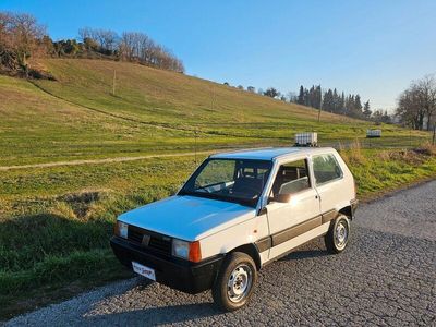 usata Fiat Panda 4x4 1000 Trekking