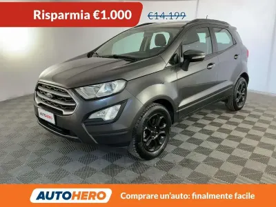 Usata Ford Ecosport 101 CV (74 kW) 2020 Grigio SUV