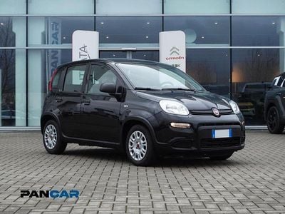 Usata Fiat Panda S 70 CV (51 kW) 2024 Nero Utilitaria