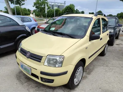 Usata Fiat Panda Dynamic 60 CV (44 kW) 2009 Giallo Utilitaria