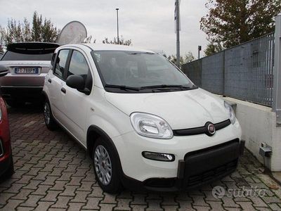 Usata Fiat Panda S 70 CV (51 kW) 2024 Bianco pastello Utilitaria