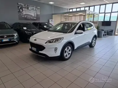 Usata Ford Kuga 120 CV (88 kW) 2021 Bianco SUV