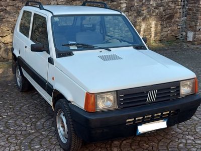 usata Fiat Panda 4x4 Trekking