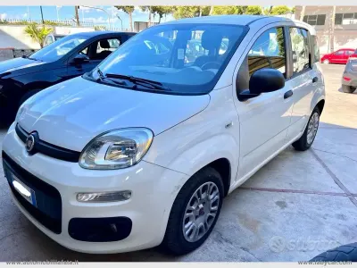 Usata Fiat Panda Easy 75 CV (55 kW) 2015 Bianco Utilitaria