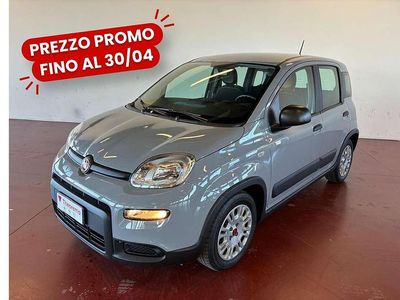 Usata Fiat Panda Red 69 CV (50 kW) 2023 Grigio artense Utilitaria