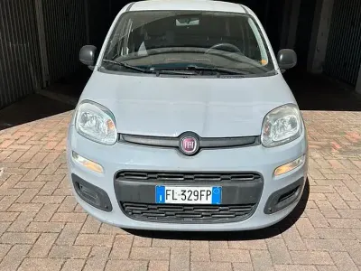 Usata Fiat Panda Easy 69 CV (50 kW) 2017 Grigio Utilitaria