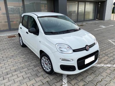 usata Fiat Panda 1.2 Pop s&s 69cv my19