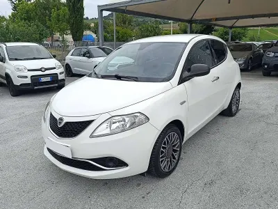 Usata Lancia Ypsilon Gold 69 CV (50 kW) 2016 Bianco Utilitaria