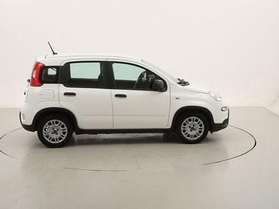Usata Fiat Panda 70 CV (51 kW) 2023 Utilitaria