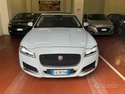 Usata Jaguar XF 300 CV (220 kW) 2015 Bianco Berlina