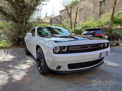 usata Dodge Challenger 3.6 V6 SXT Plus 305cv at8