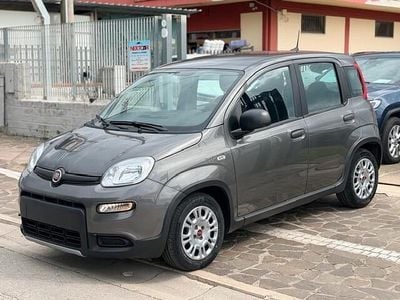 Usata Fiat Panda S 71 CV (52 kW) 2024 Grigio Utilitaria