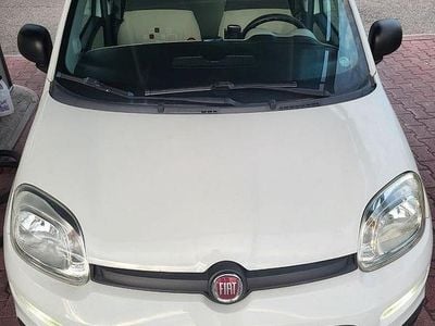 Usata Fiat Panda 69 CV (50 kW) 2015 Bianco Utilitaria