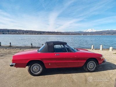 Usata Alfa Romeo Spider Veloce 128 CV (94 kW) 1980 Cabrio