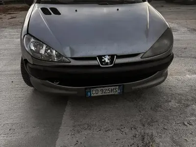 Usata Peugeot 206 68 CV (50 kW) 2003 Berlina